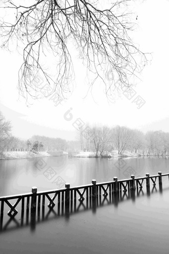 下雪后的湖边风景