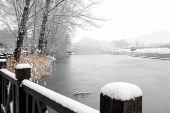 下雪后的湖边风景自然美氛围图片