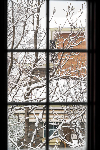 窗户外的雪景建筑结构高端场景