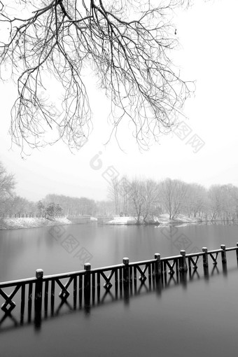 下雪后的湖边风景