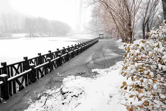 下雪后的湖边风景白昼写实相片