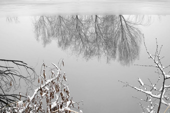 雪后湖面的倒影白色写实摄影图