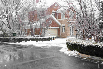 雪中的私家别墅灌木图片