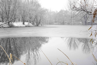 下雪后的湖边风景