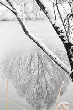 雪后湖面的倒影