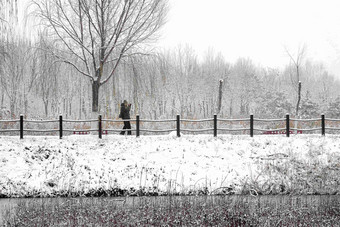 雪后湖的对岸