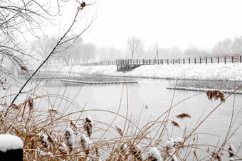 下雪后的湖边风景