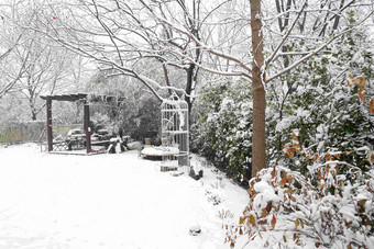 下雪后的私家花园