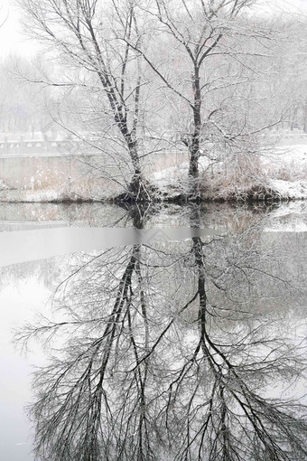 雪后湖面的倒影