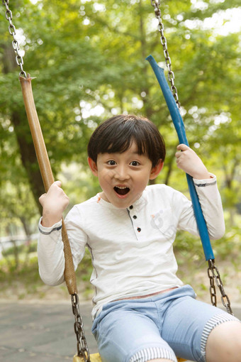 小男孩<strong>荡秋千</strong>幸福写实摄影图