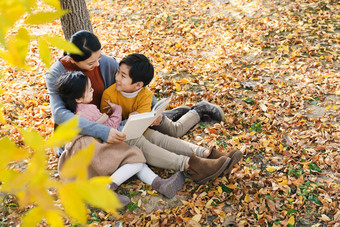 妈妈和孩子在树下看书叶子写实照片