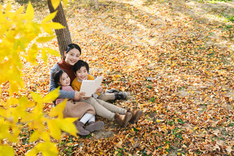 妈妈和孩子在树下看书草地氛围镜头