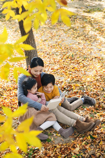 妈妈和孩子在<strong>树下看书</strong>教育清晰镜头