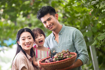 幸福家庭采摘葡萄