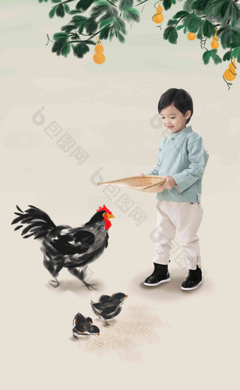 小男孩拿着簸箕撒谷物喂鸡高兴清晰影相