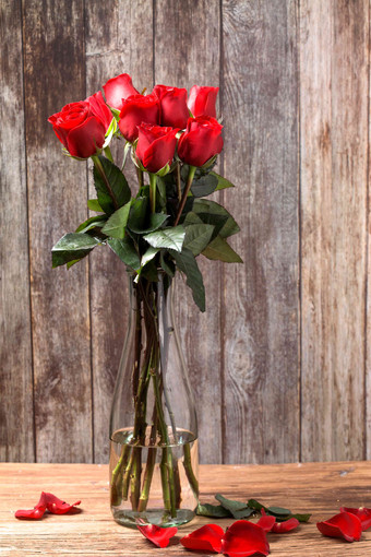 红玫瑰魅力高清摄影图片