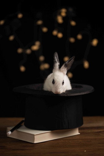 可爱的小兔子魔杖氛围图片