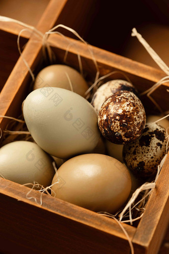 木格容器里的鸡蛋和鹌鹑蛋选择对焦高清拍摄