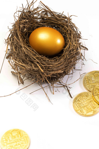 鸟窝里的金蛋和散落的金币彩色图片高质量素材