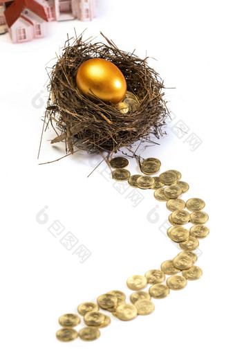 鸟巢里的金蛋和金币铺成的路投资高清摄影图
