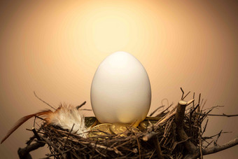 <strong>鸟窝</strong>里的蛋和金币和羽毛