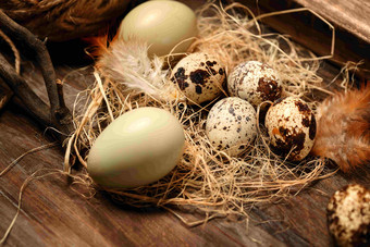 桌子上的鸡蛋和鹌鹑蛋食品清晰相片