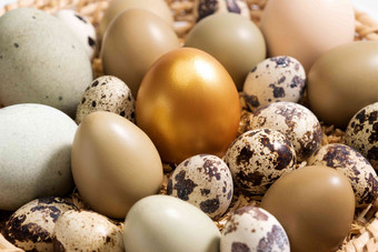 筐里的鸡蛋鸭蛋<strong>鹌鹑</strong>蛋金蛋蛋氛围照片