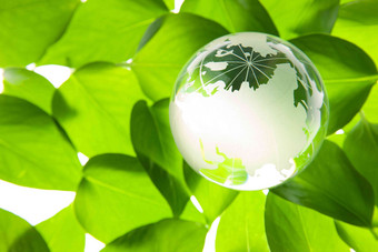 绿叶上的水晶地球简单高端图片