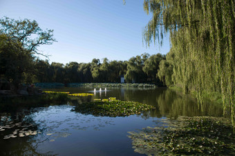 北京圆明园公园