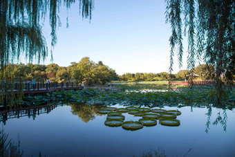 北京圆明园公园遗址镜头