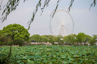 江苏省无锡蠡园