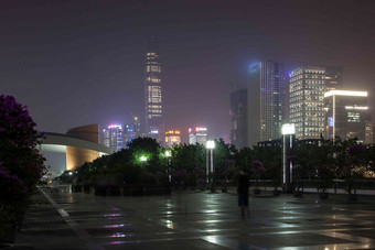 广东省<strong>深圳莲花山</strong>夜景