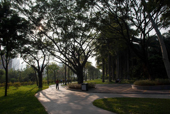 广东省深圳莲花山公园