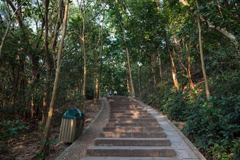 广东省深圳莲花山公园旅行者清晰场景