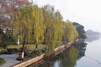 杭州西湖户外摄影秋天清晰摄影