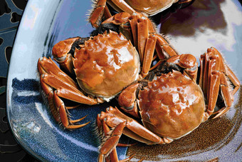 螃蟹中国饮食甲壳动物清晰图片