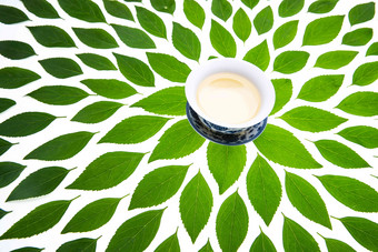 绿色的茶叶和茶杯杯子写实照片图片