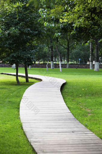 公园木板小路