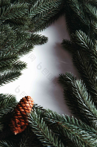 松针组成的圣诞树圣诞写实摄影图