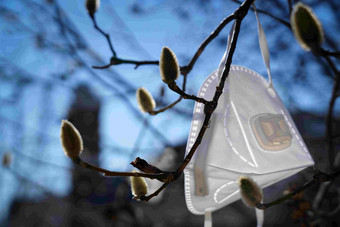 悬挂在树枝上的口罩流感病毒清晰拍摄