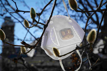 悬挂在树枝上的口罩预防高端图片