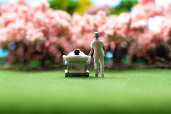 草地上护士陪着病人赏樱花风景高质量相片