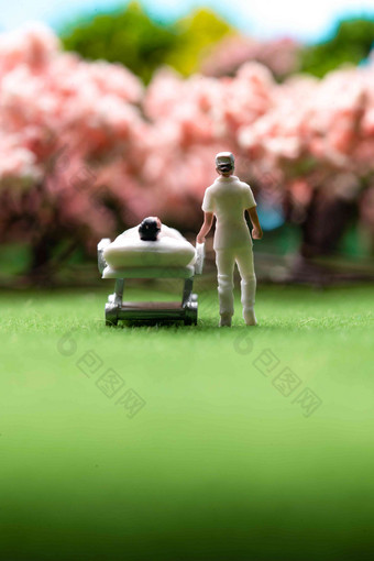 草地上护士陪着病人赏樱花希望中国清晰镜头