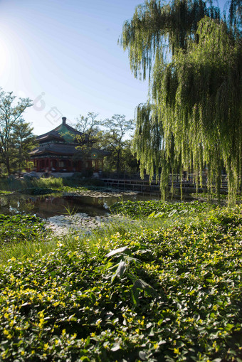 北京圆明园湖<strong>河流</strong>写实摄影