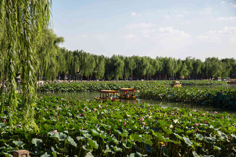 北京公园河流东亚高端场景