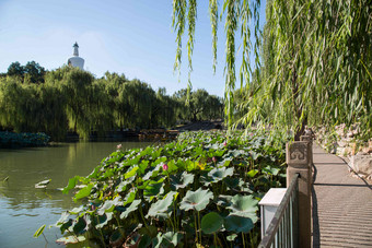 北京公园湖北海高清素材