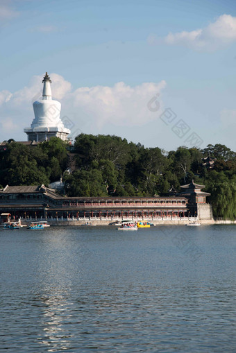 北京公园树无人建筑外部高清场景