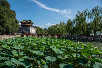 北京颐和园昆明湖繁荣摄影图