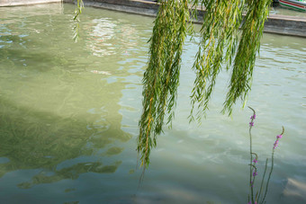 北京颐和园湖繁荣摄影图