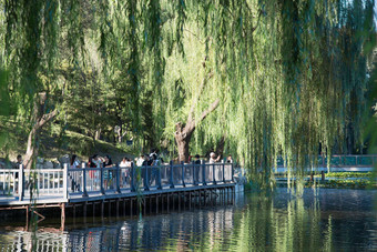 北京圆明园湖传统文化人造建筑高质量摄影图